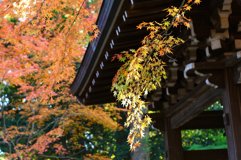 東漸寺