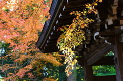 東漸寺