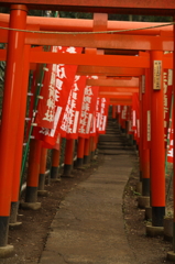 鎌倉　佐助稲荷神社　参道