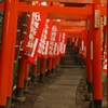 鎌倉　佐助稲荷神社　参道