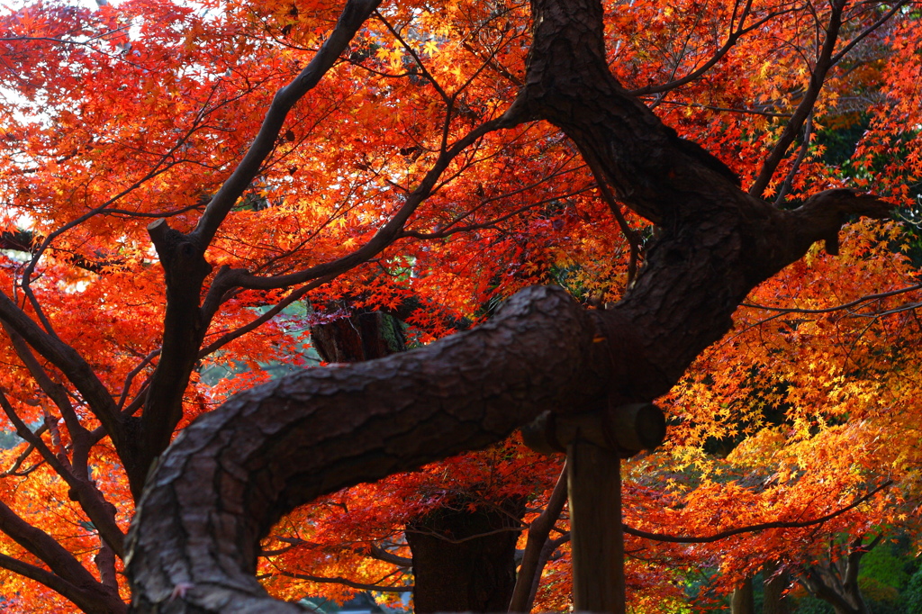 東漸寺