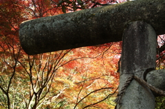 鳥居に紅の天
