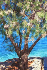 blue water
