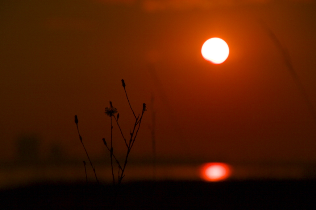 ぼんやり沈み行く太陽を眺め