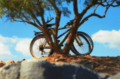 rested bycycles