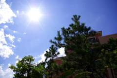 dazzling sun-beam