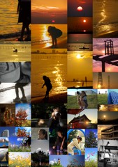 collage2010