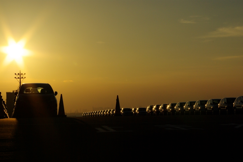 car rows in sunset