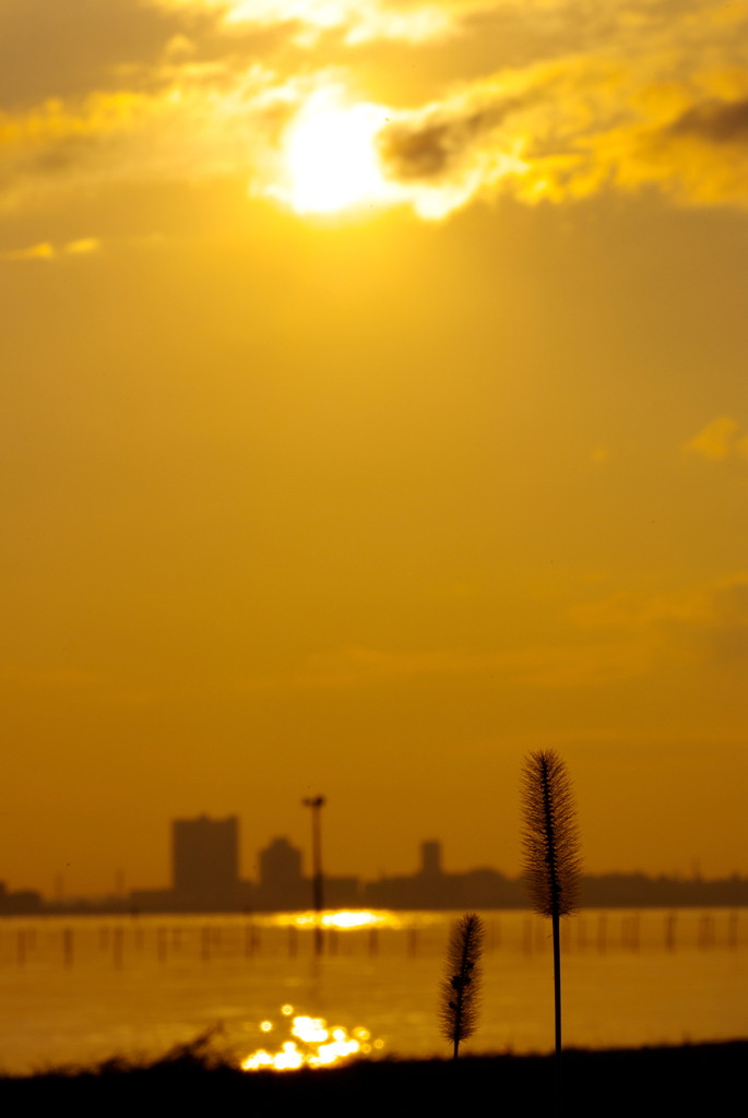 秋の夕暮れ