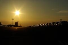 car rows in sunset