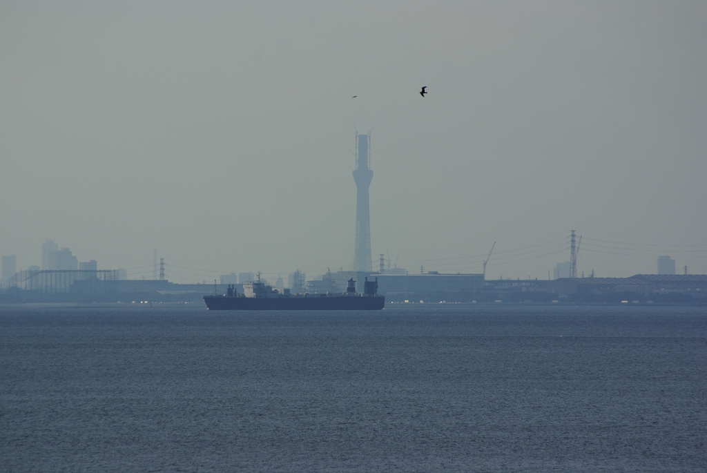 light skytree