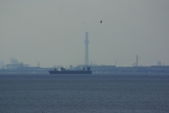 light skytree