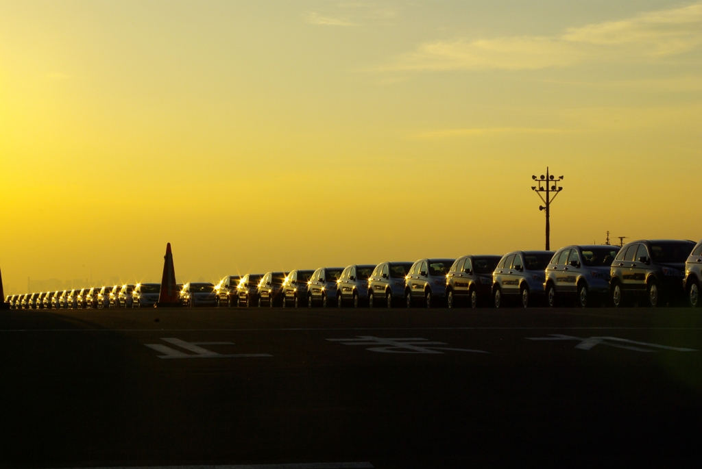 car rows in sunset