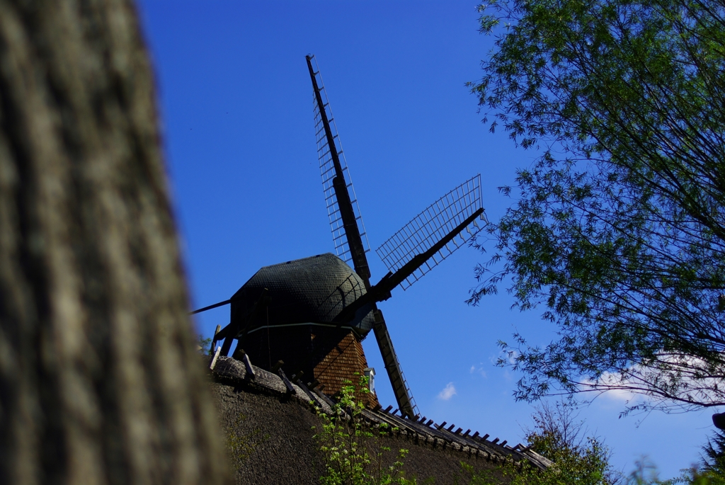 windmill i