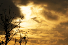 夕陽を背に。。。