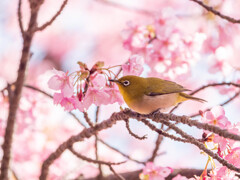 少し寒いね