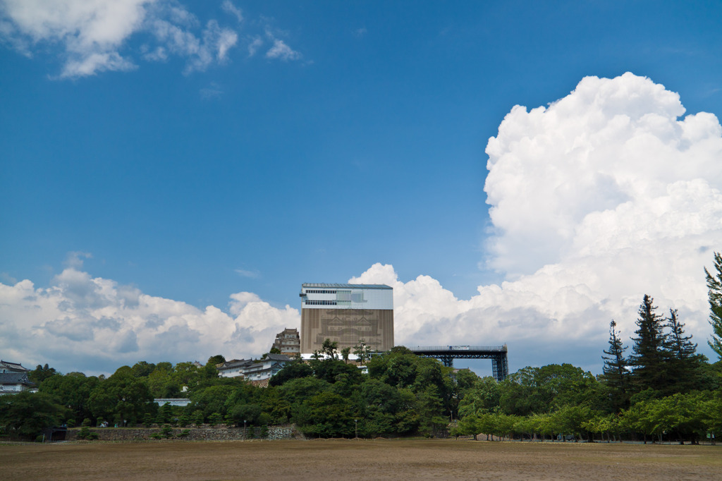 天空の白鷺