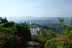 春先のつつじヶ丘