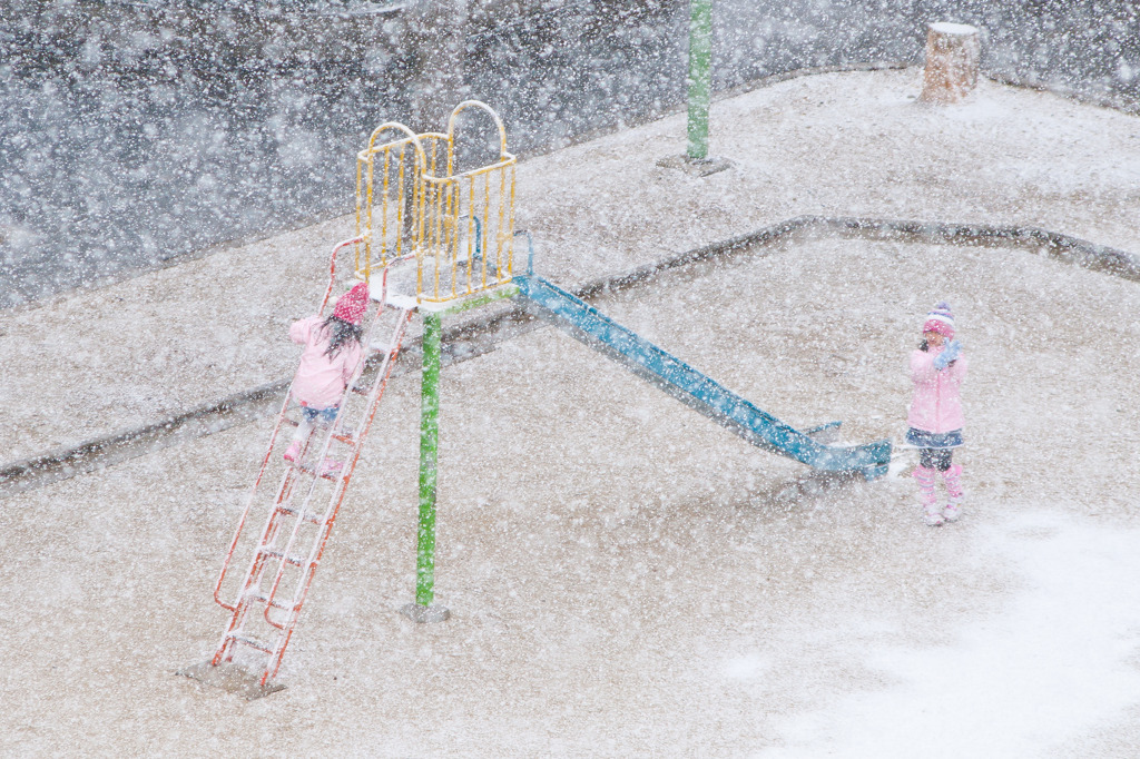 雪の中