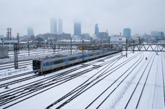 雪の向野橋