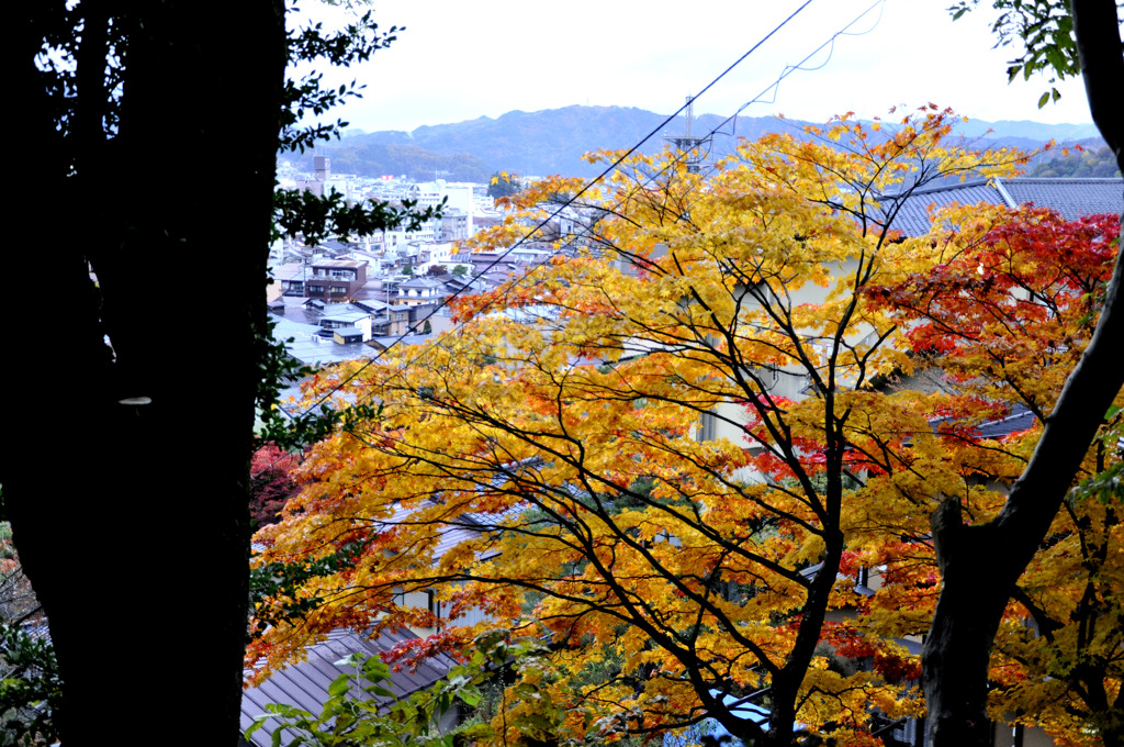 高山街並み