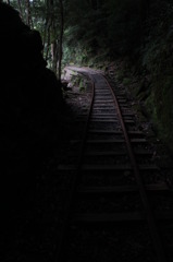 yakushima