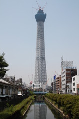 Sky tree