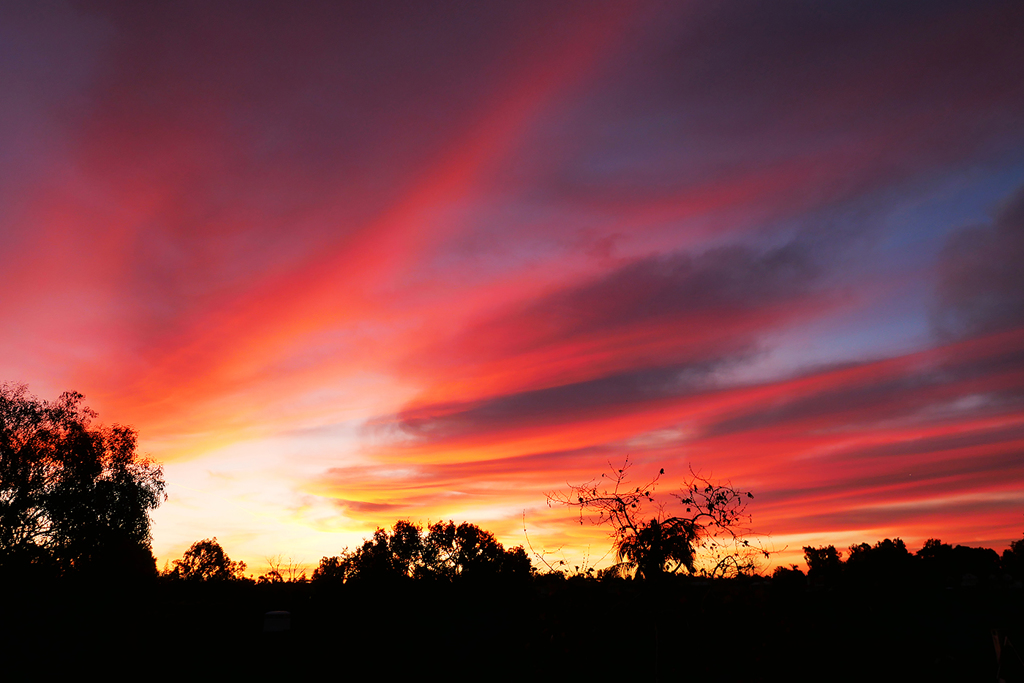 LA Sunrise