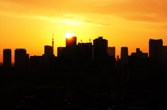 汐留サンセット