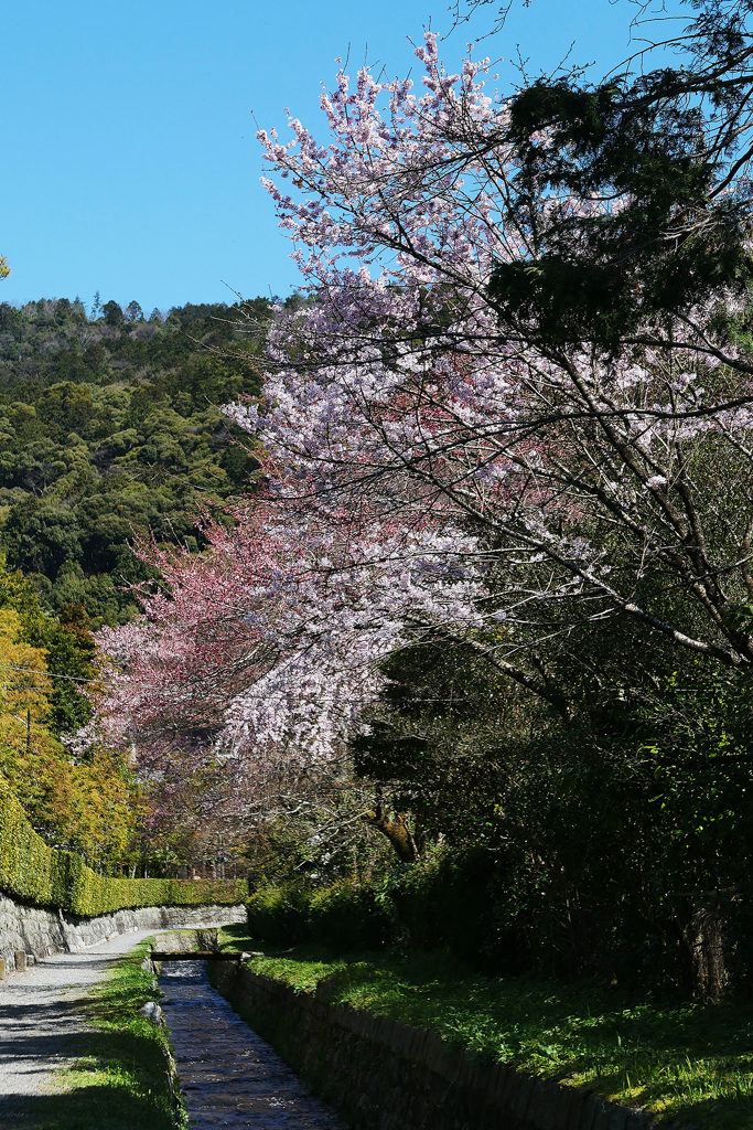 Kyoto