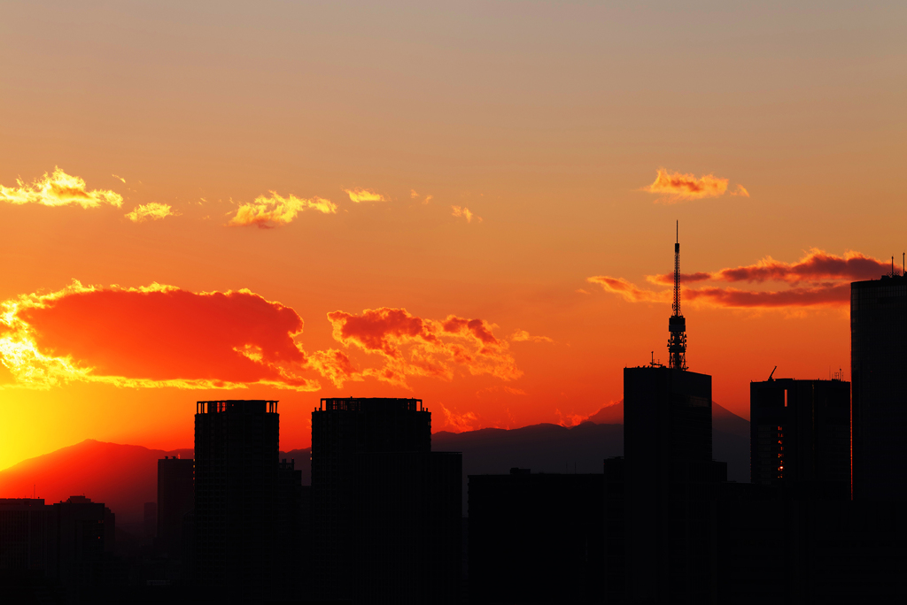 燃える夕日