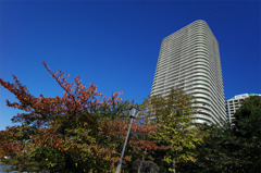 秋が近づいてきてる