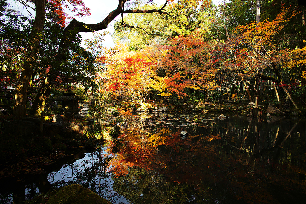 池の紅葉