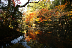 池の紅葉