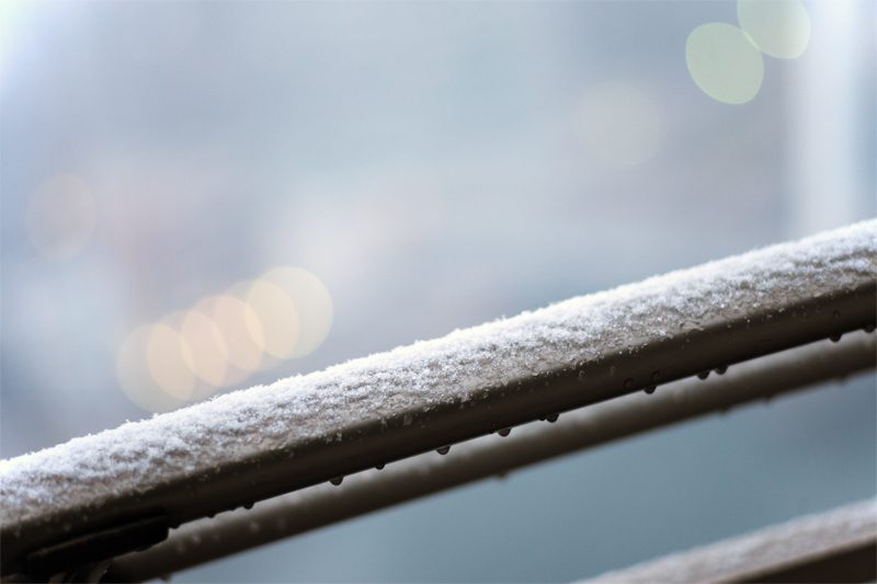 明け方から雪