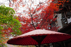京都紅葉(3)
