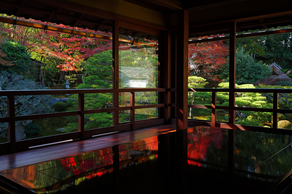 京都紅葉