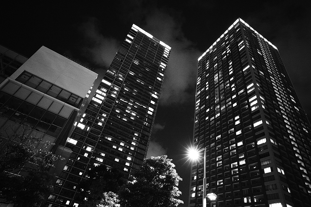 見上げて、、、