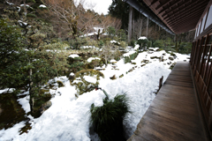 京都・三千院 2