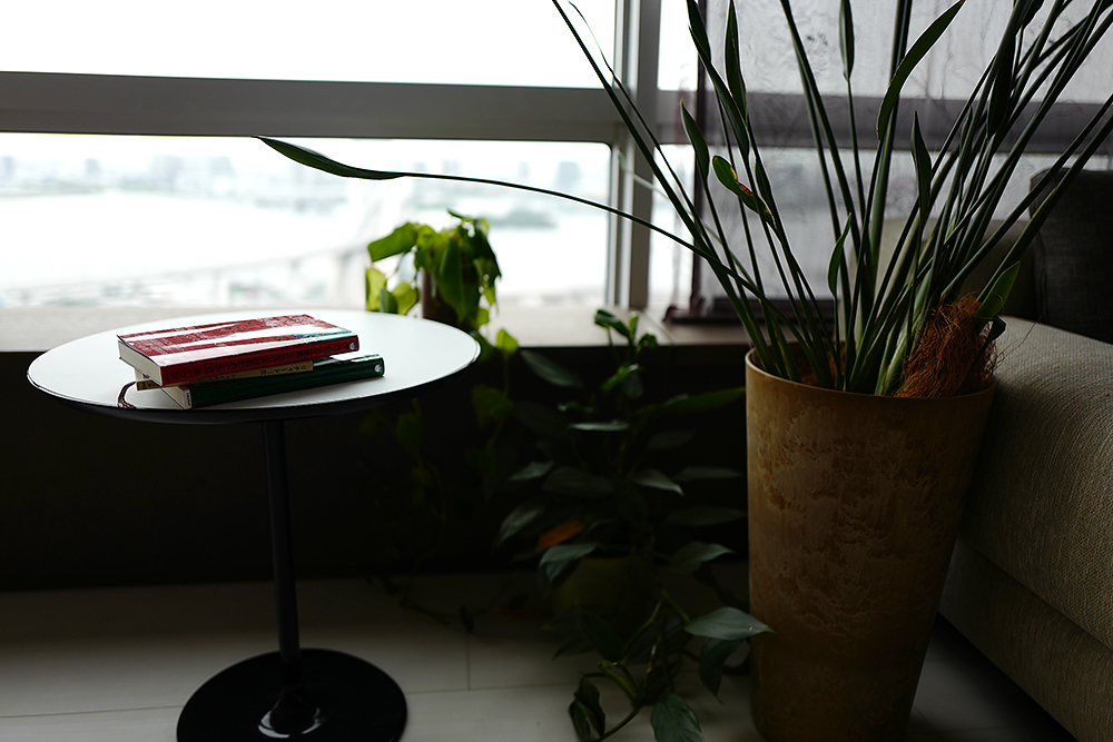 雨天時は読書でも、、、