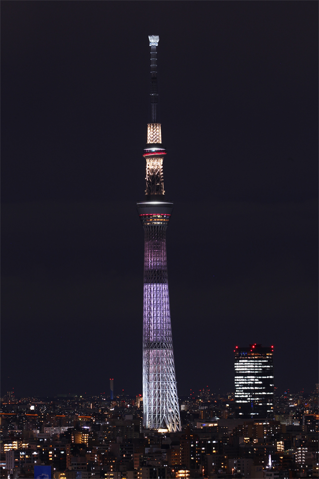 ホワイトショコラカラー