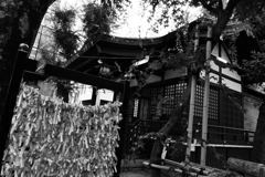 恵比寿