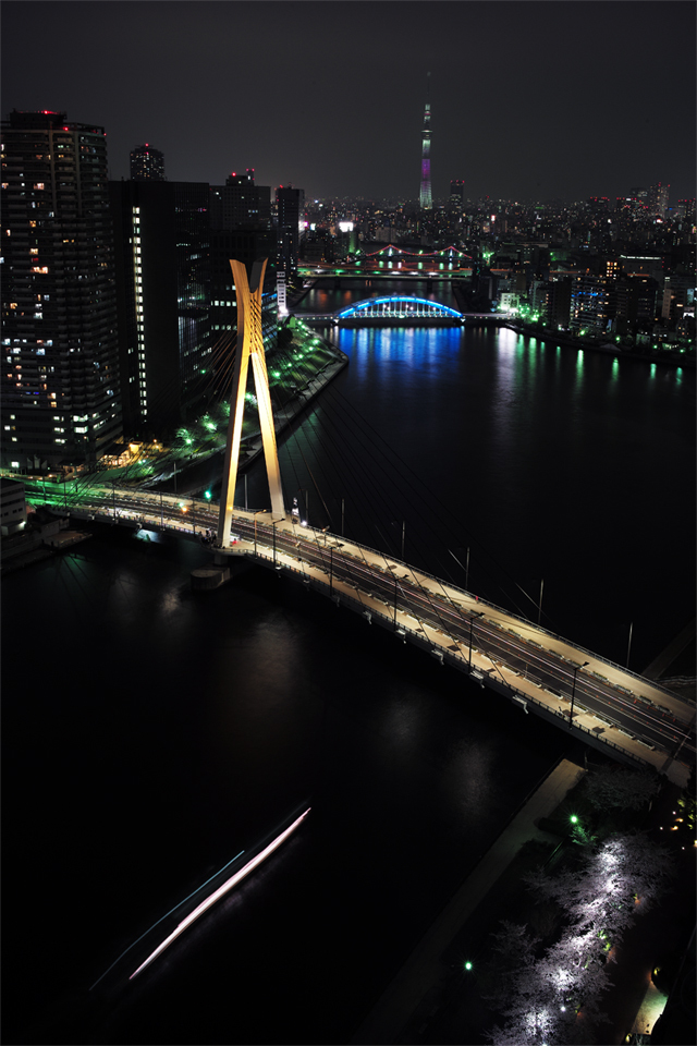 花見には寒そう