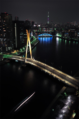 花見には寒そう