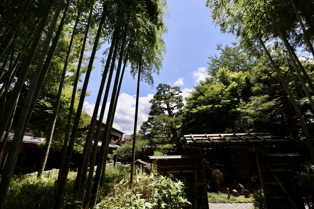 嵯峨野