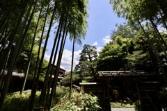 嵯峨野