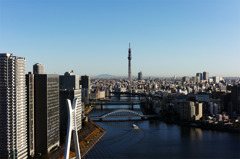 スカイツリー