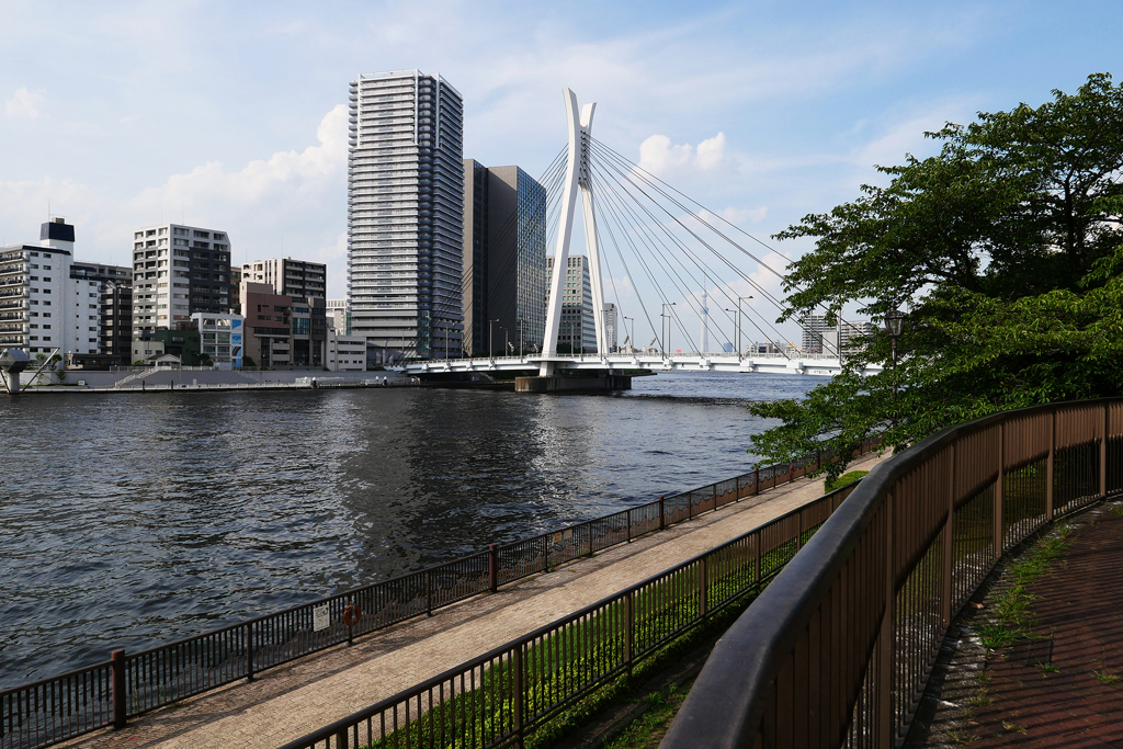 橋