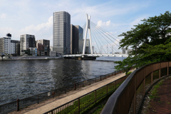 橋