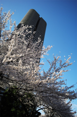 タワー